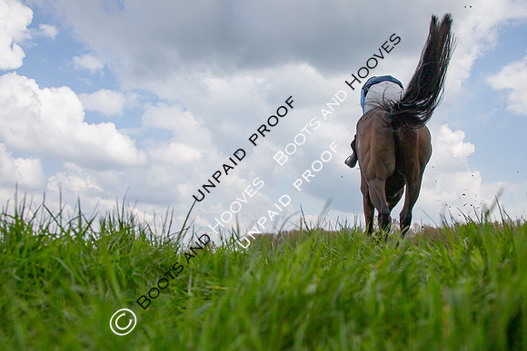 High Easter Point to Point