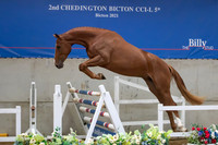 The Billy Stud Auction