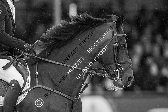 The Royal Windsor Horse Show