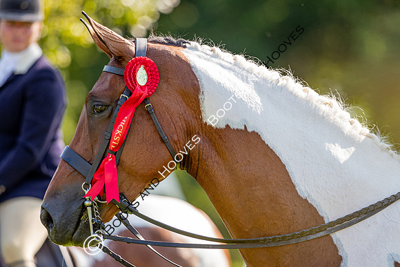 The Prenetics Royal International Horse Show