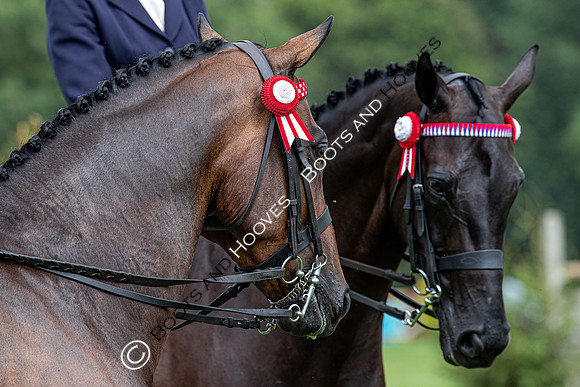 The Prenetics Royal International Horse Show