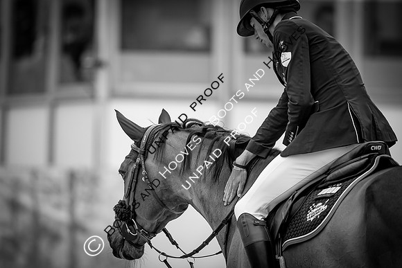 The Royal Windsor Horse Show