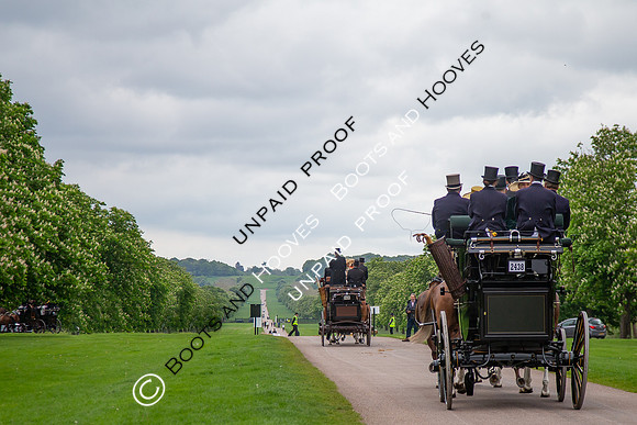 The Royal Windsor Horse Show