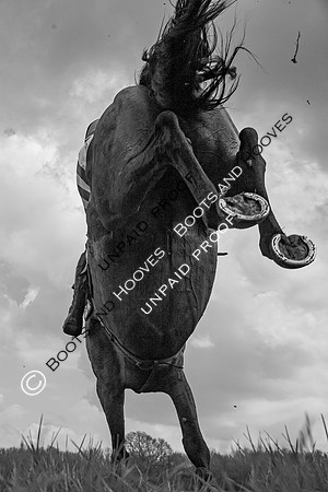 High Easter Point to Point