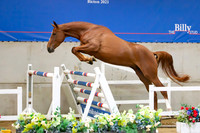 The Billy Stud Auction