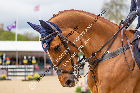 The Royal Windsor Horse Show