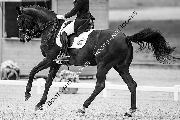 I.C.E. HORSEBOXES ALL ENGLAND DRESSAGE FESTIVAL 2023
