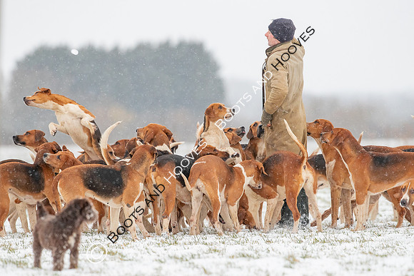 Hound Exercise