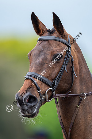 Badminton Horse Trials presented by Mars Equestrian