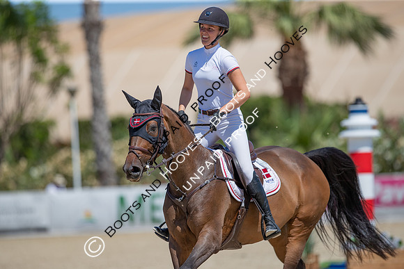FEI Junior European Championship Young Riders, Juniors & Childre