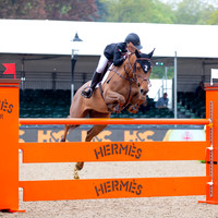Royal Windsor Horse Show