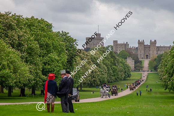 The Royal Windsor Horse Show
