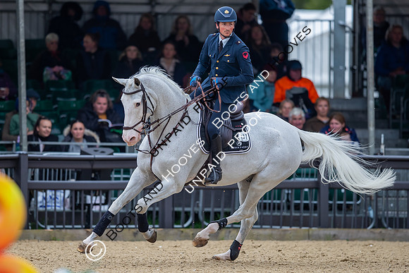 The Royal Windsor Horse Show