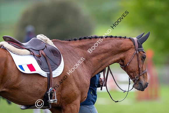 Badminton Horse Trials presented by Mars Equestrian