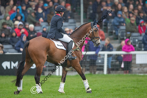Badminton Horse Trials presented by Mars Equestrian