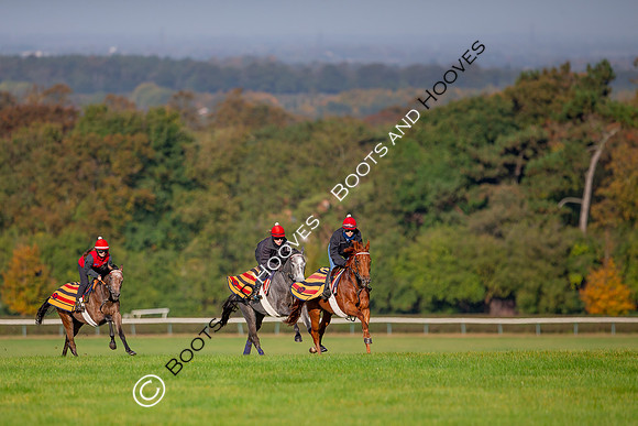 Newmarket