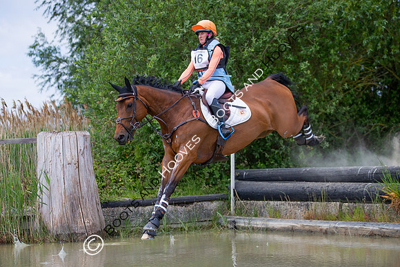 The Childeric Saddles Little Downham (1)