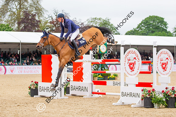 The Royal Windsor Horse Show