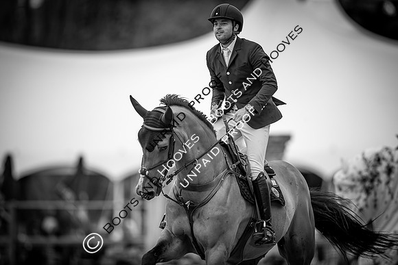 The Royal Windsor Horse Show