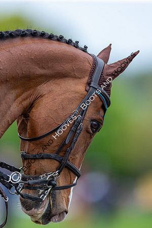 Badminton Horse Trials presented by Mars Equestrian