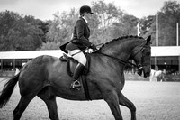 The Royal Windsor Horse Show