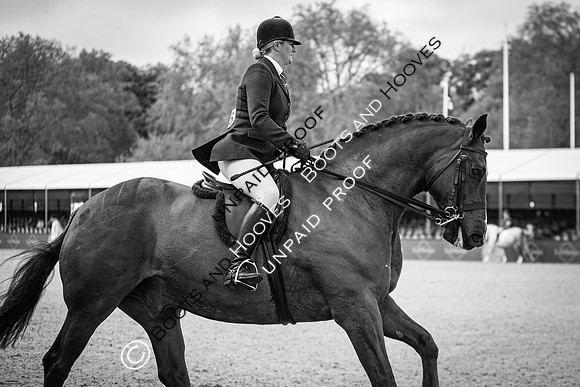 The Royal Windsor Horse Show