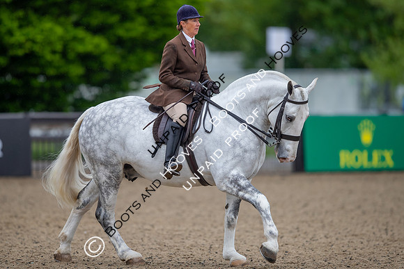 The Royal Windsor Horse Show