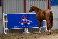 The Billy Stud Auction