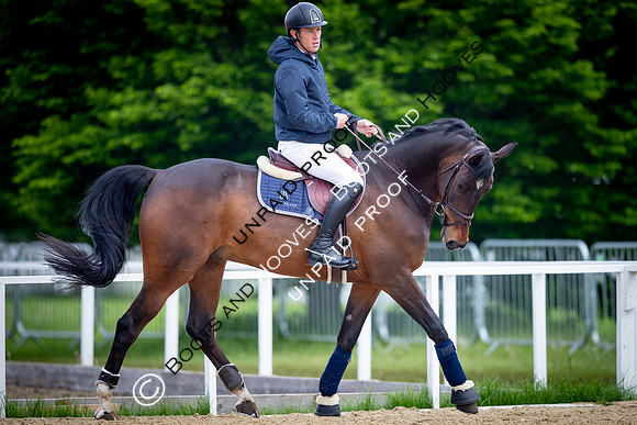 The Royal Windsor Horse Show