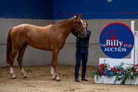 The Billy Stud Auction