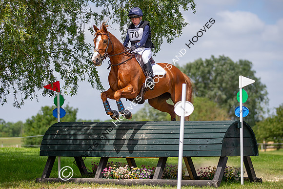 The Childeric Saddles Little Downham (1)