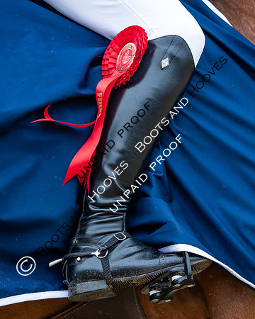 The Royal Windsor Horse Show