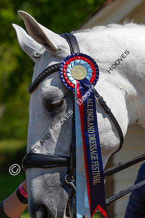 I.C.E. HORSEBOXES ALL ENGLAND DRESSAGE FESTIVAL 2023