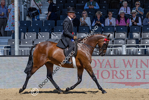Royal Windsor Horse Show