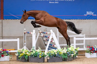 The Billy Stud Auction