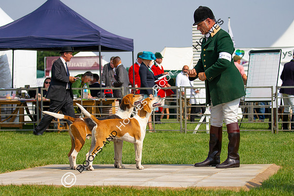 Festival of Hunting