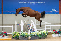 The Billy Stud Auction