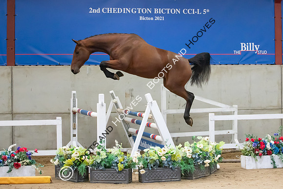 The Billy Stud Auction