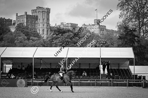 The Royal Windsor Horse Show