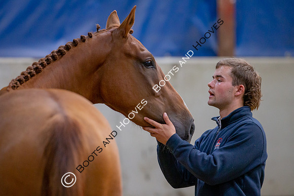 The Billy Stud Auction