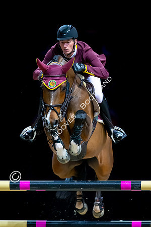 Showjumping