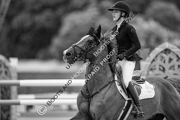 The Royal Windsor Horse Show