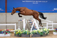 The Billy Stud Auction