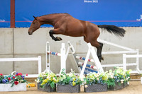 The Billy Stud Auction