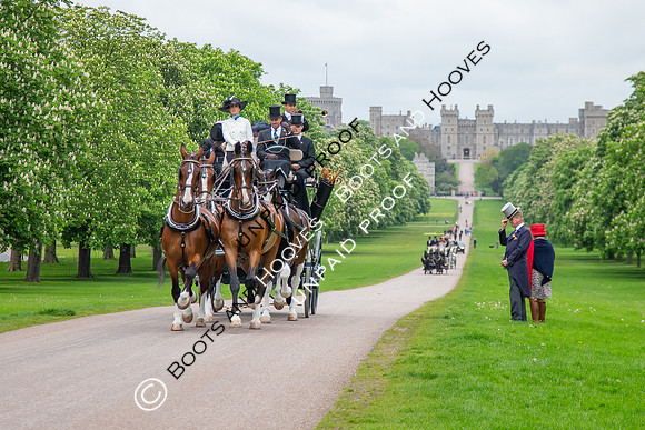 The Royal Windsor Horse Show