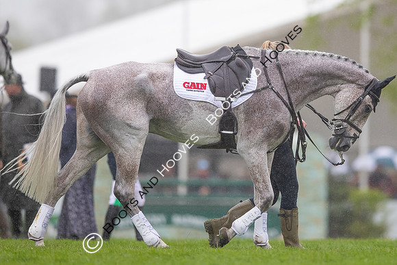 Badminton Horse Trials presented by Mars Equestrian
