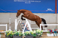 The Billy Stud Auction