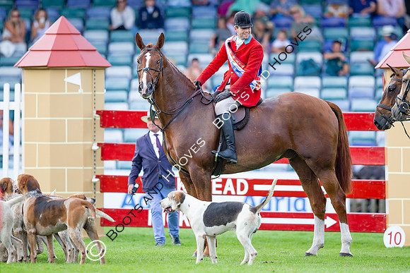 The AGRIA Royal International Horse Show