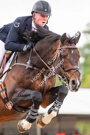 The Royal Windsor Horse Show