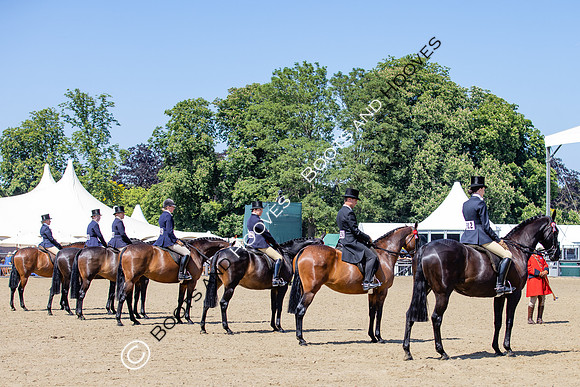 Royal Windsor Horse Show